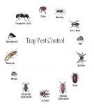General Pest Control 